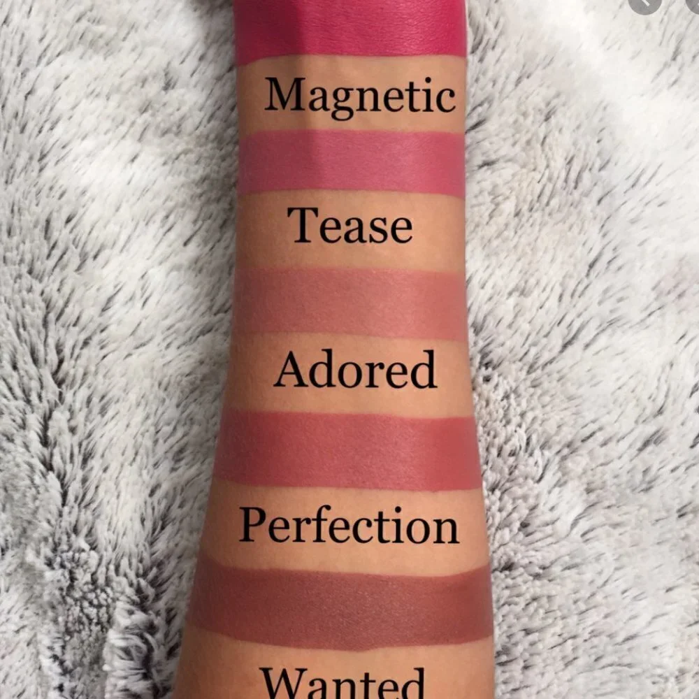 new in box! Victoria's Secret magnetic velvet matte lip kit